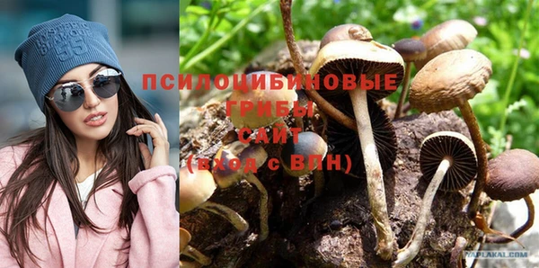 бошки Балахна