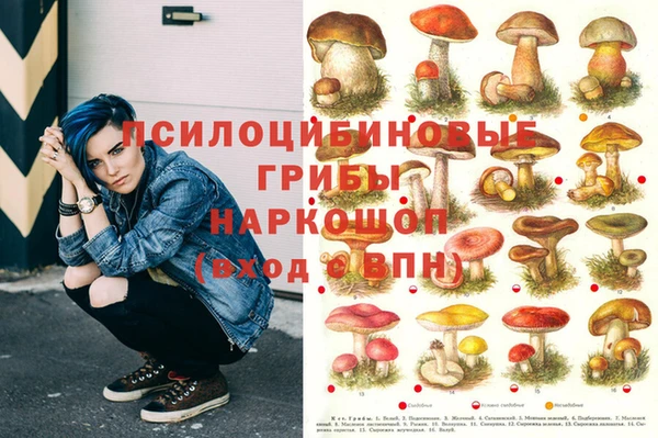 бошки Балахна