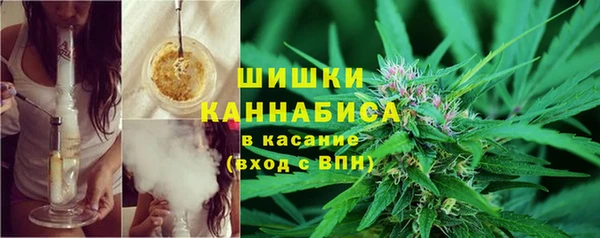 сатива Балабаново