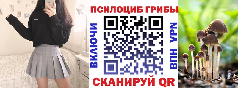 Псилоцибиновые грибы Psilocybine cubensis Нефтегорск